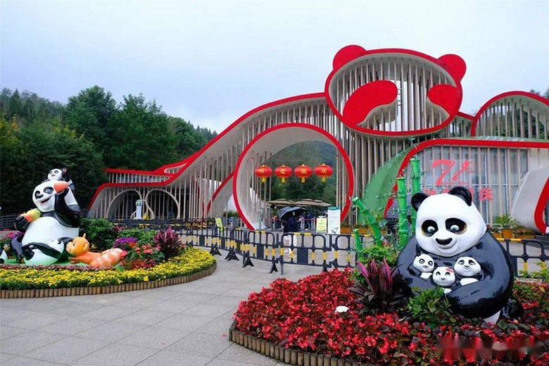 Trung tâm gấu trúc Đô Giang Yển và Thành Đô khác gì nhau?