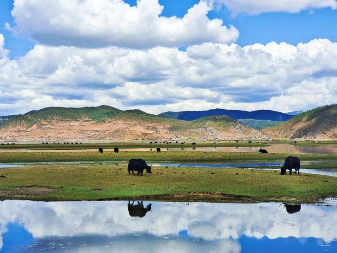 Hồ Napa Shangri-La: Kinh nghiệm ngắm hồ và thảo nguyên theo mùa