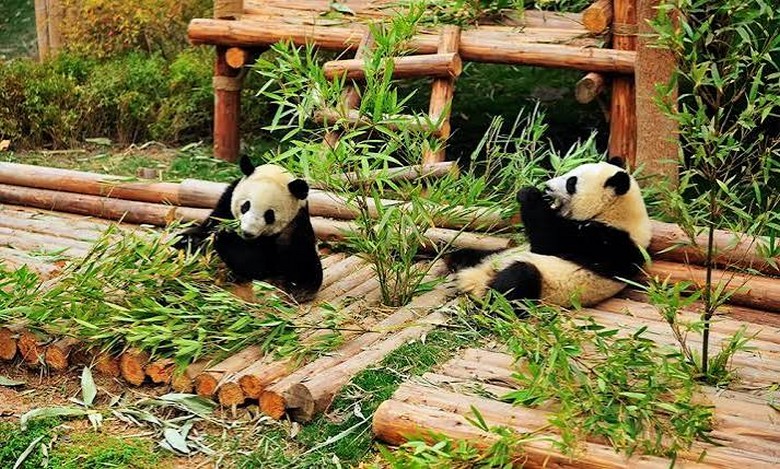 Miền Tây và cao nguyên Trung Quốc: Đi đâu, mùa nào đẹp?