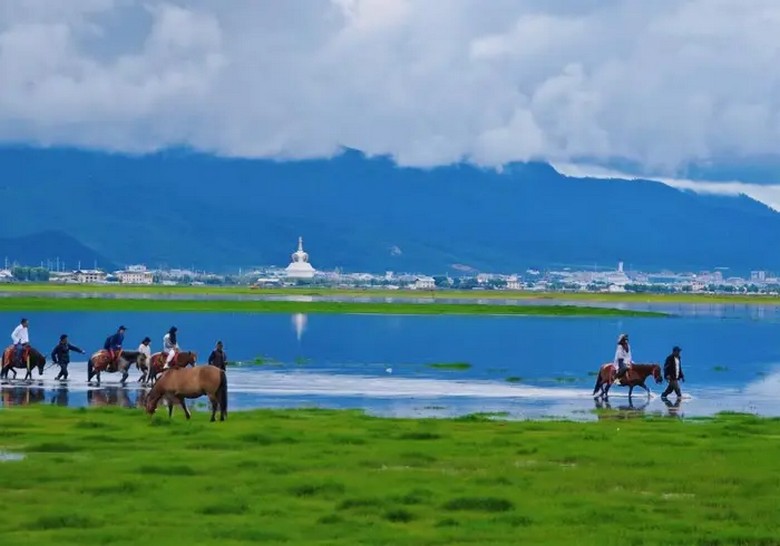  Cưỡi ngựa trên đồng cỏ ven hồ Napa