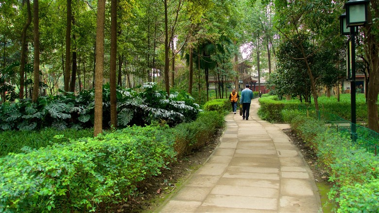 Không gian yên tĩnh trong khuôn viên Văn Thù Viện