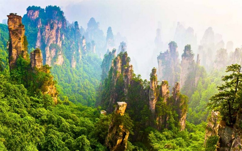 Rừng cột đá sa thạch trong Vườn quốc gia Trương Gia Giới nhìn từ xa