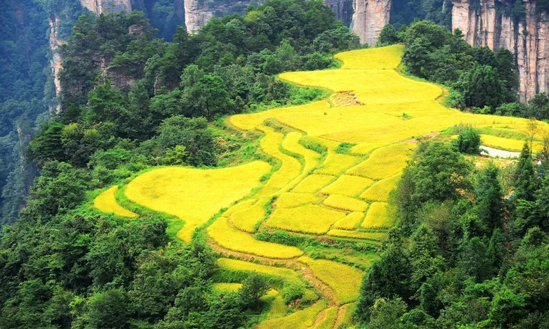 Ruộng bậc thang trên không tại Sanchakou, Thiên Tử Sơn