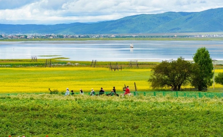 Thảo nguyên Y Lạp mùa hoa dại nở rộ