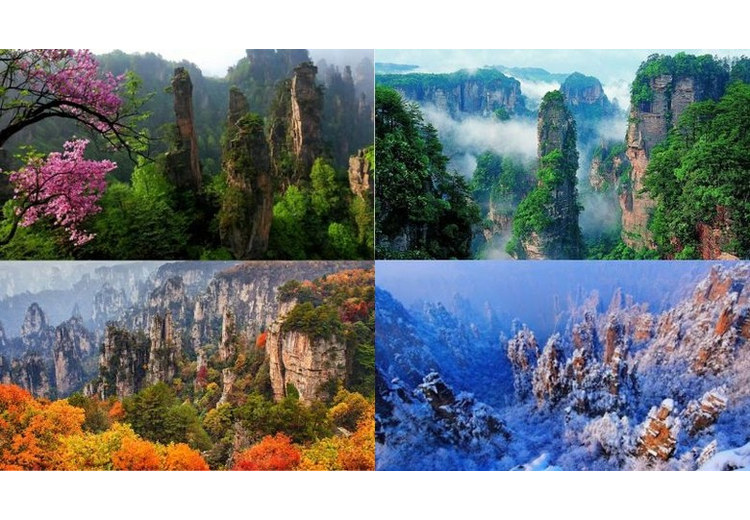 Bốn mùa Trương Gia Giới nhìn từ cùng một đài quan sát