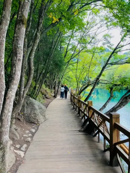 Đường ván gỗ ven hồ tại khu thắng cảnh Cửu Trại Câu